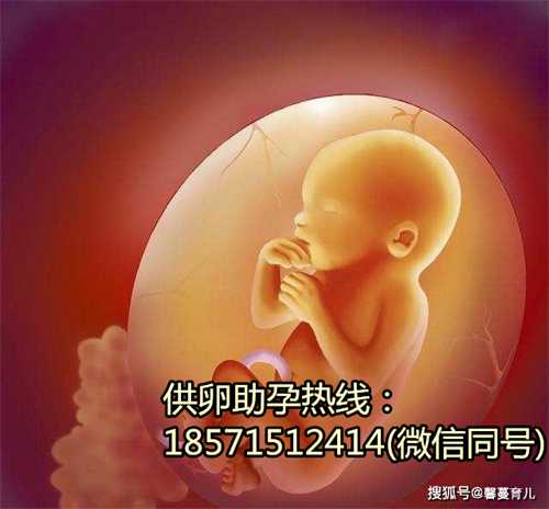南京代孕正规中介,生儿子一定在排卵前还是后同房