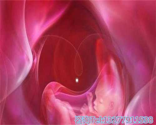 供卵申请流程详解专业指导