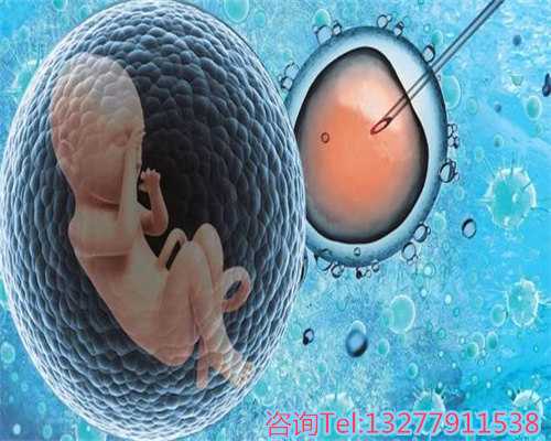 <strong>正规助孕费用构成与避坑建议</strong>